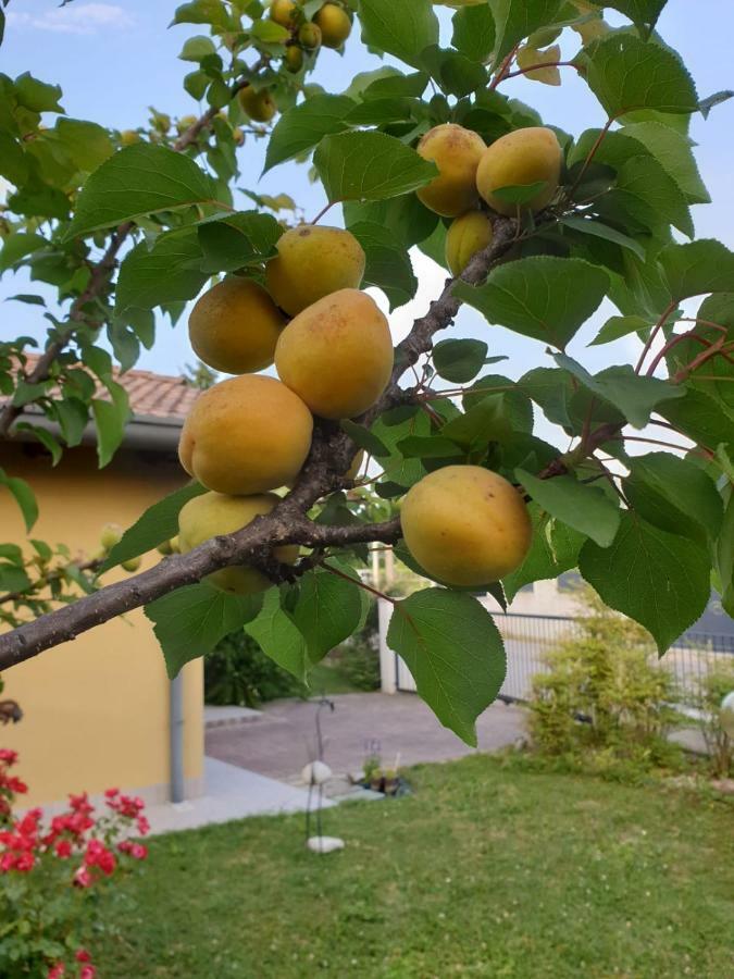 Residence Stradella Verde Staranzano Zewnętrze zdjęcie